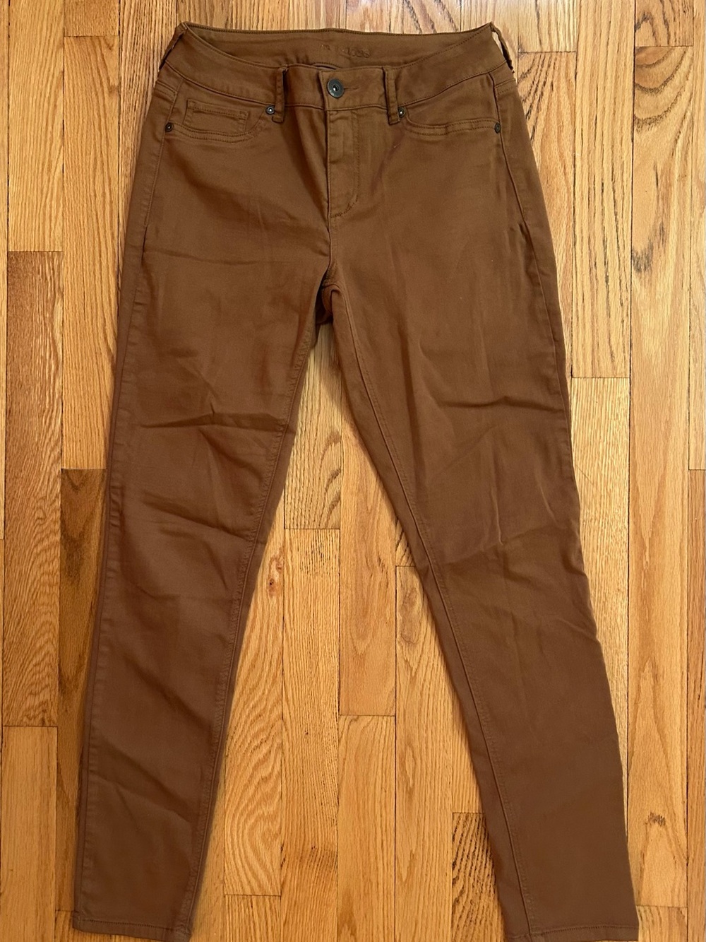 Maurices Men's Chino Pants in Rich Brown